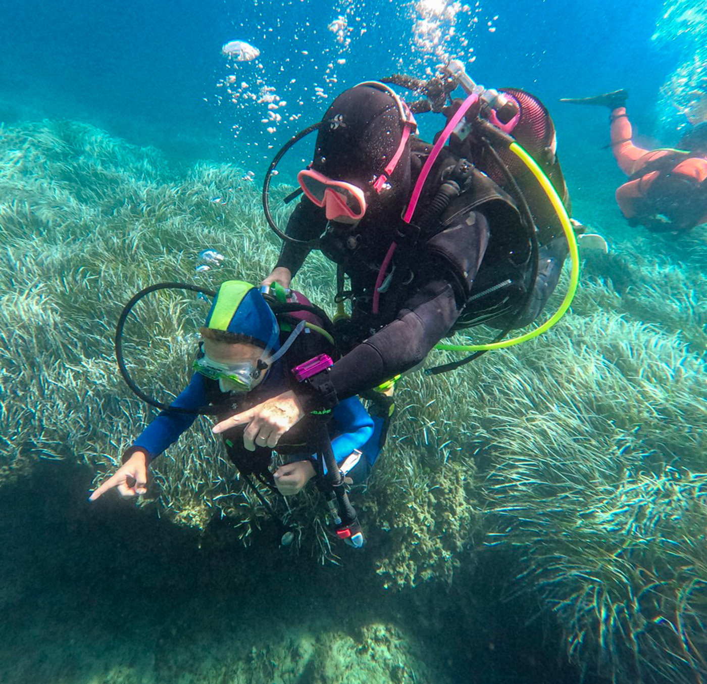 Bapte me de plonge e 2