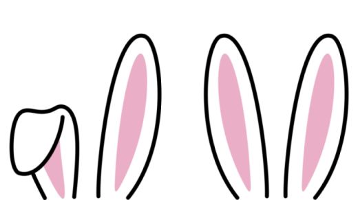 oreilles lapins