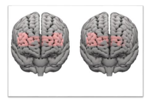 Capture d e cran 2026 01 19 a 10.55.44