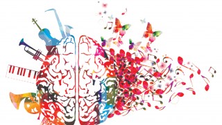 musique cerveau instrument artwork note neuroscience